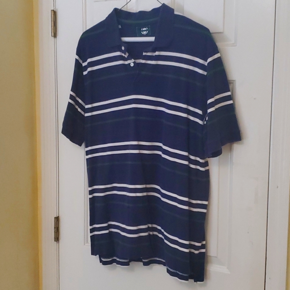 Blue, green, and white polo